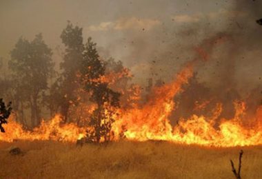 بیش از ۱۰هکتار مراتع طالقان در آتش سوخت