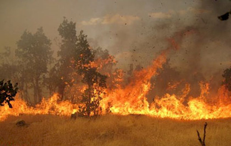 بیش از ۱۰هکتار مراتع طالقان در آتش سوخت