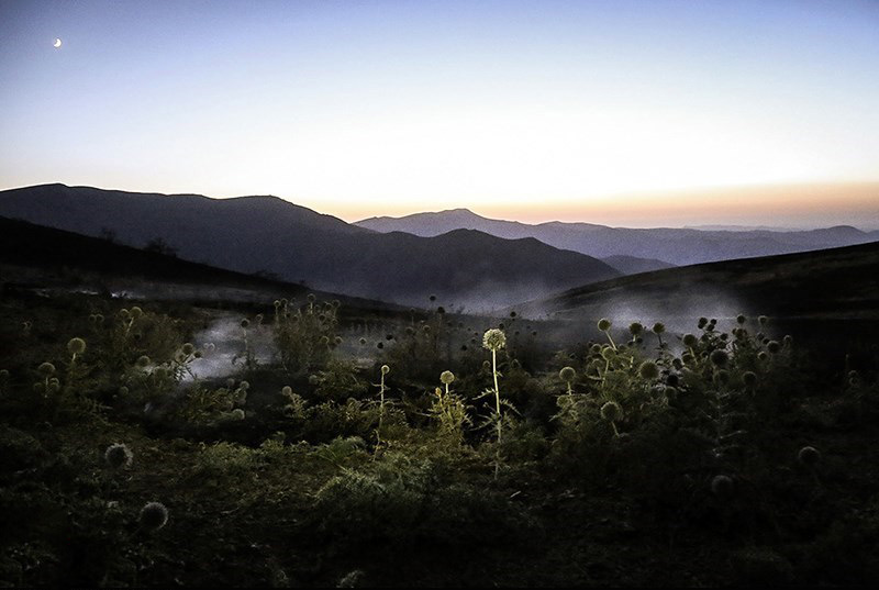 آتش سوزی در مراتع زنجان